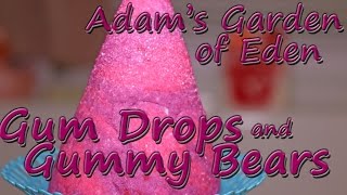 Adam's Garden of Eden - Gum Drops and Gummy Bears Bubble Bar - Demo - Review