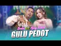 Ajeng Febria Feat Brodin Gulu Pedot Official Music Video Aring Aring Mbakar Gedang Campur Sawi