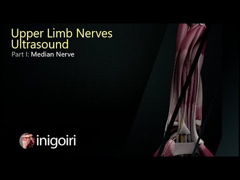 Median Nerve Ultrasound