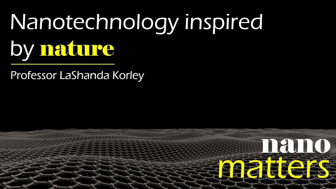 Nanotechnology inspired by nature