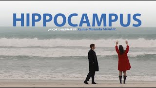 HIPPOCAMPUS | TEASER TRAILER | YAQ DISTRIBUCION | CORTOMETRAJE | SHORTFILM