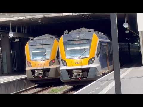 Treinen op station Den Haag Centraal - 15 juli 2025
