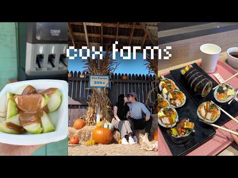 Cox Farms Fall Festival + Sirok Korean Street Food in Chantilly, VA - caramel apples, cider, kimbap