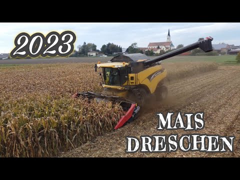 Körnermais dreschen 2023 🌽🚜 | Landwirtschaft Niederbayern