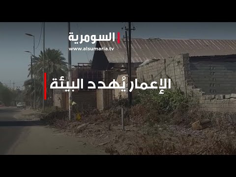 شاهد بالفيديو.. الأشجار تُقطع بالجملة.. الإعمار يُهدد البيئة