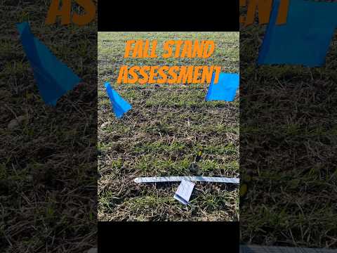 How to assess fall wheat stands