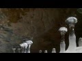 Mahogany - "Métro"