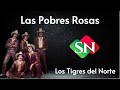 LAS POBRES ROSAS - Los Tigres del Norte (LETRA)