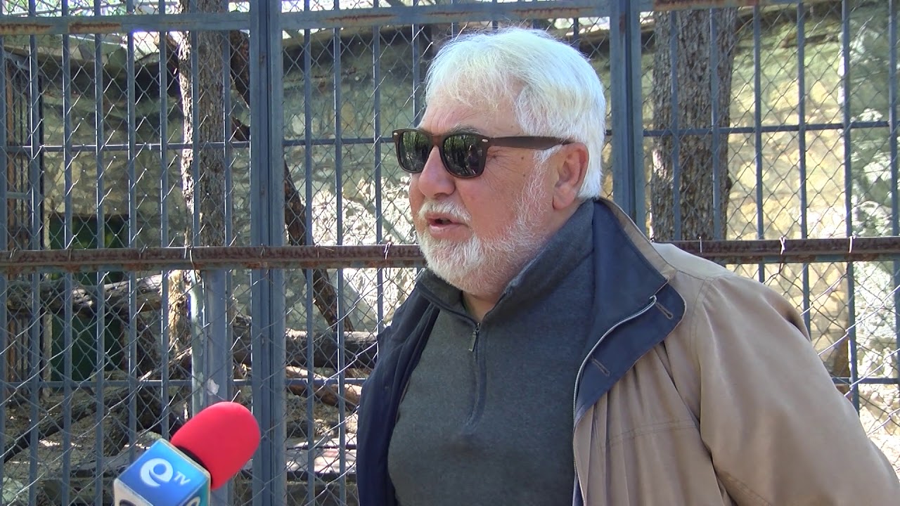 Хасковският зоопарк подготвя разселване на три големи лъва и едно малко