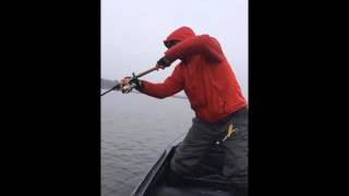 St. croix legend elite les86mhf2 характеристики