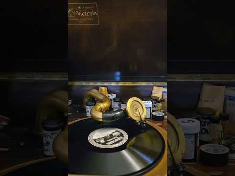 Talking to The Moon - B.A. Rolfe Palais D'or Orchestra Edison DD #51757 1926