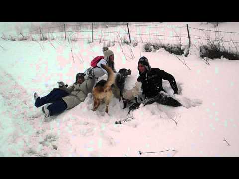 "Italia 1" a Piana Degli Albanesi xD