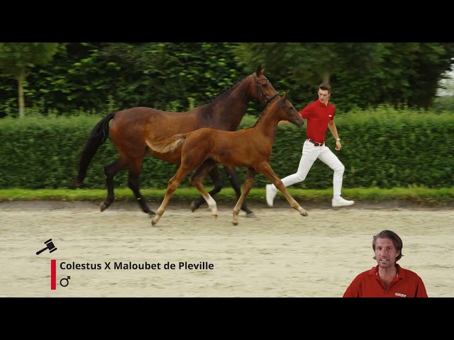 Watch-Me JB
