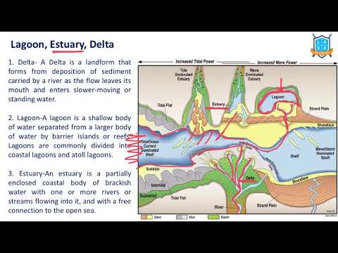 What is Lagoon - Estuary - Delta ? || Lagoon - Estuary - Delta అంటే ఏమిటి?