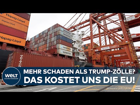 BÜROKRATIE IN DER EU: Katharina Reiche warnt vor Milliardenverlusten durch Hürden im Binnenmarkt!