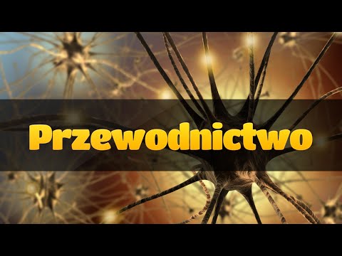 Wiotki mięśnia sercowego English temat mięśni