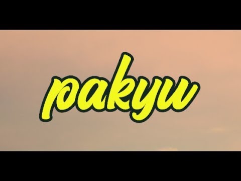Papiozi - Pakyu ( Offcial Lyrik Video )