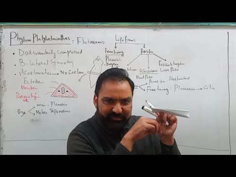 Trichocephalosis diagnosztikai módszerek