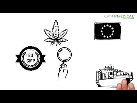 GMP: Was bedeutet Good Manufacturing Practice?