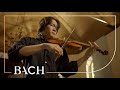 Bach - Violin Partita no. 2 in D minor BWV 1004 - Sato | Netherlands Bach Society