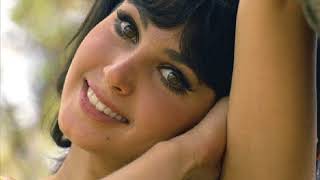 Donna Loren - Drop the Drip