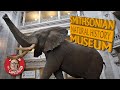 Smithsonian Museum of Natural History - Full Tour