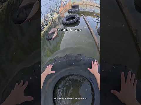 5 extreme parkour moments, which one is your favorite? ????️‍♀️ DJI Osmo Action 5 Pro