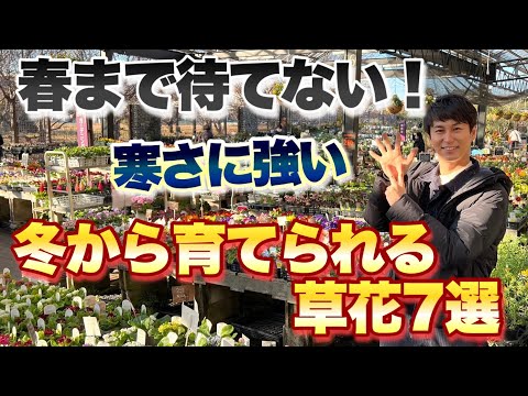 寒さに強い柑橘類をご存知ですか?知っておきたい丈夫な木ベスト3! 庭園