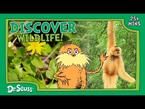 Learn About Wildlife! | Animals & Ecosystems | The Lorax Nature Keepers Club | Dr. Seuss