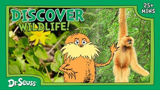 Learn About Wildlife! | Animals & Ecosystems | The Lorax Nature Keepers Club | Dr. Seuss