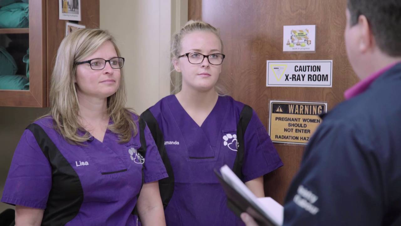 Health and Safety in a Veterinary Clinic