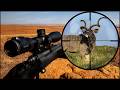 Best Kudu Hunts In Africa