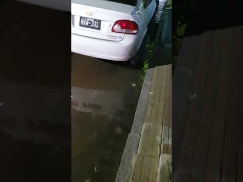 Improvisan puentes con maderas para poder cruzar la esquina de 8 y 55