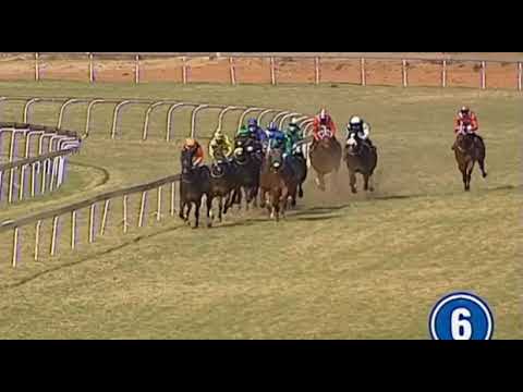 BOHICA - 2020 Spring Spree Stakes