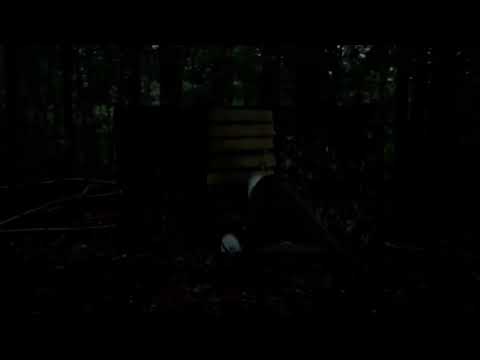 XANZY - who would i be without you? (sing me to sleep - remix)