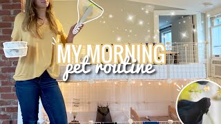 My Morning Pet Routine || Fall 2023