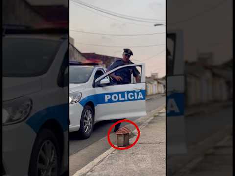 Did the police officer throw away the cute puppy's home?