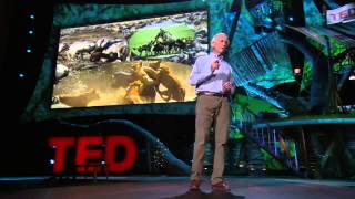 Environmental TEDtalk - Allan Savory: How to reverse climate change by greening the world's deserts