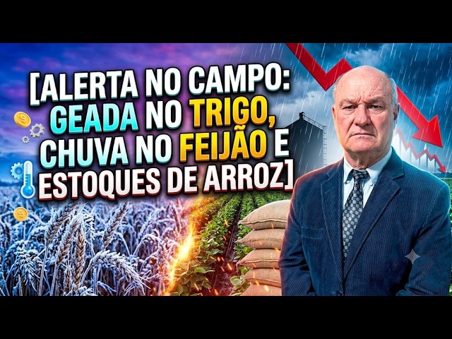 Alerta no Campo: Geada no Trigo, Chuva no Feijão e Estoques de Arroz.