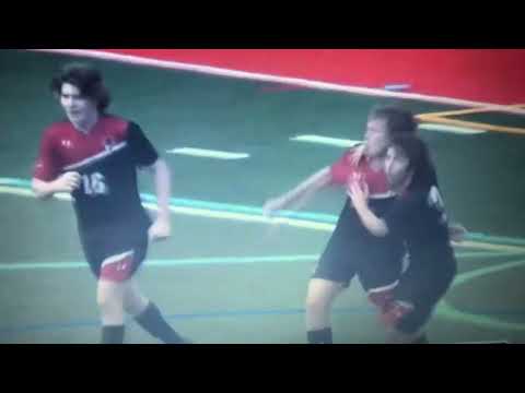 Ilan Druker Plays and Goals 2024