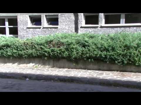 ONDA TG 21.10.2014 - RAPINA RAPPRESENTANTE GIOIELLI SULMONESE