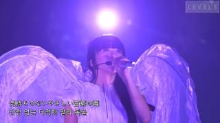 Dream Land Perfume HD 4th Tour