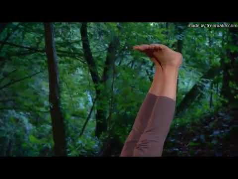 Yoga Übung - Der einfache Schulterstand & der einfache Pflug