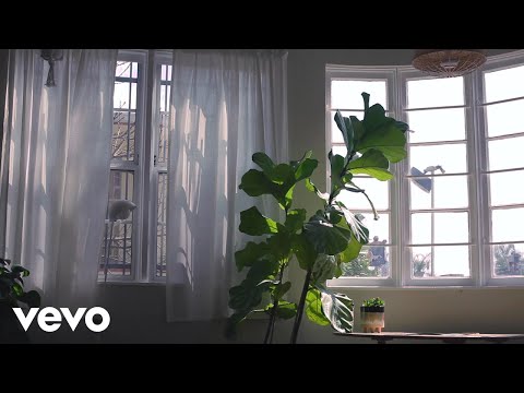 Sir Sly - All Your Love (Audio)