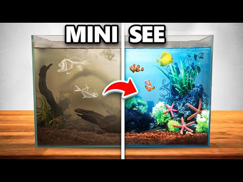 Ich Baute Ein See Ökosystem Auf Meinem Schreibtisch