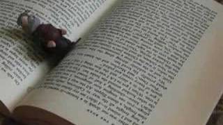 The Hold Steady &quot;Stuck Between Stations&quot;