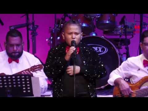 Carl Petrochi : Bolbe Cas