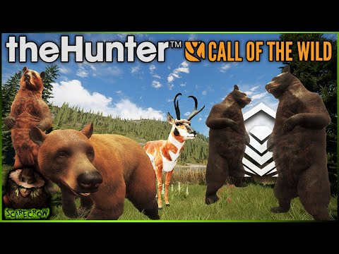 Rares & Diamonds Are EVERYWHERE On Silver Ridge Peaks! Call of the wild