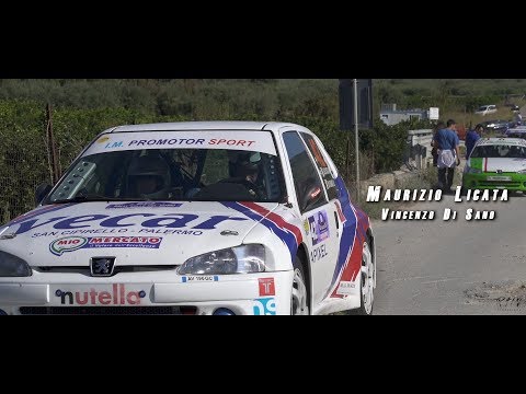 Maurizio Licata/Vincenzo Di Sano - Rally valle del Sosio 2019 (Peugeot 106 Kit)