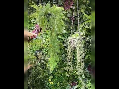 ウォールグリーン壁面緑化ハンギンググリーン(プリマ株式会社)